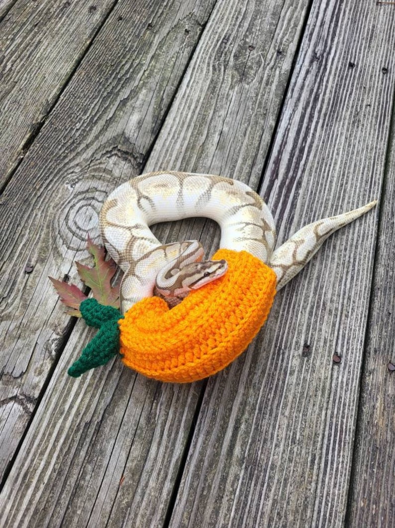 Pumpkin Snake Costume Snake Sweater Halloween Ball Python - Etsy