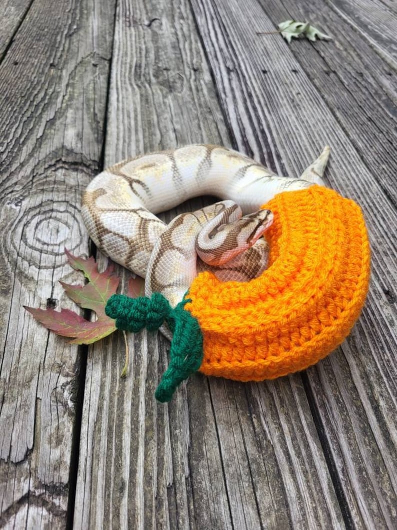Pumpkin Snake Costume Snake Sweater Halloween Ball Python - Etsy