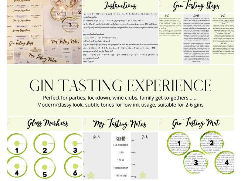 Gin Tasting Party Kit Etsy