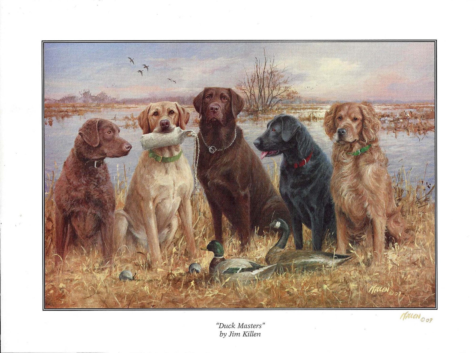 2007 Duck Masters Print by Jim Killen 8 Etsy