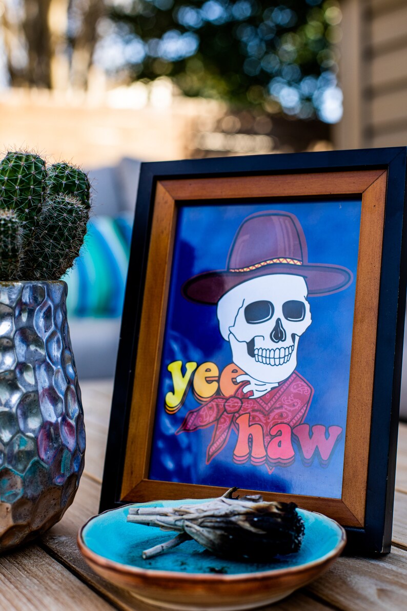 Yee-Haw Cowboy Skeleton Postcard Glossy 5 x 7