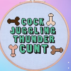Pik jongleren donder kut penis grappige snarky subversieve tekst onbeleefd vloeken kruissteek borduurpatroon PDF