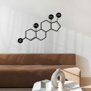 Puede incluir: Arte de pared de metal negro que representa una estructura molecular, probablemente una hormona. La obra de arte presenta una serie de formas geométricas conectadas y círculos etiquetados, montados en una pared blanca. Es un diseño moderno y minimalista.