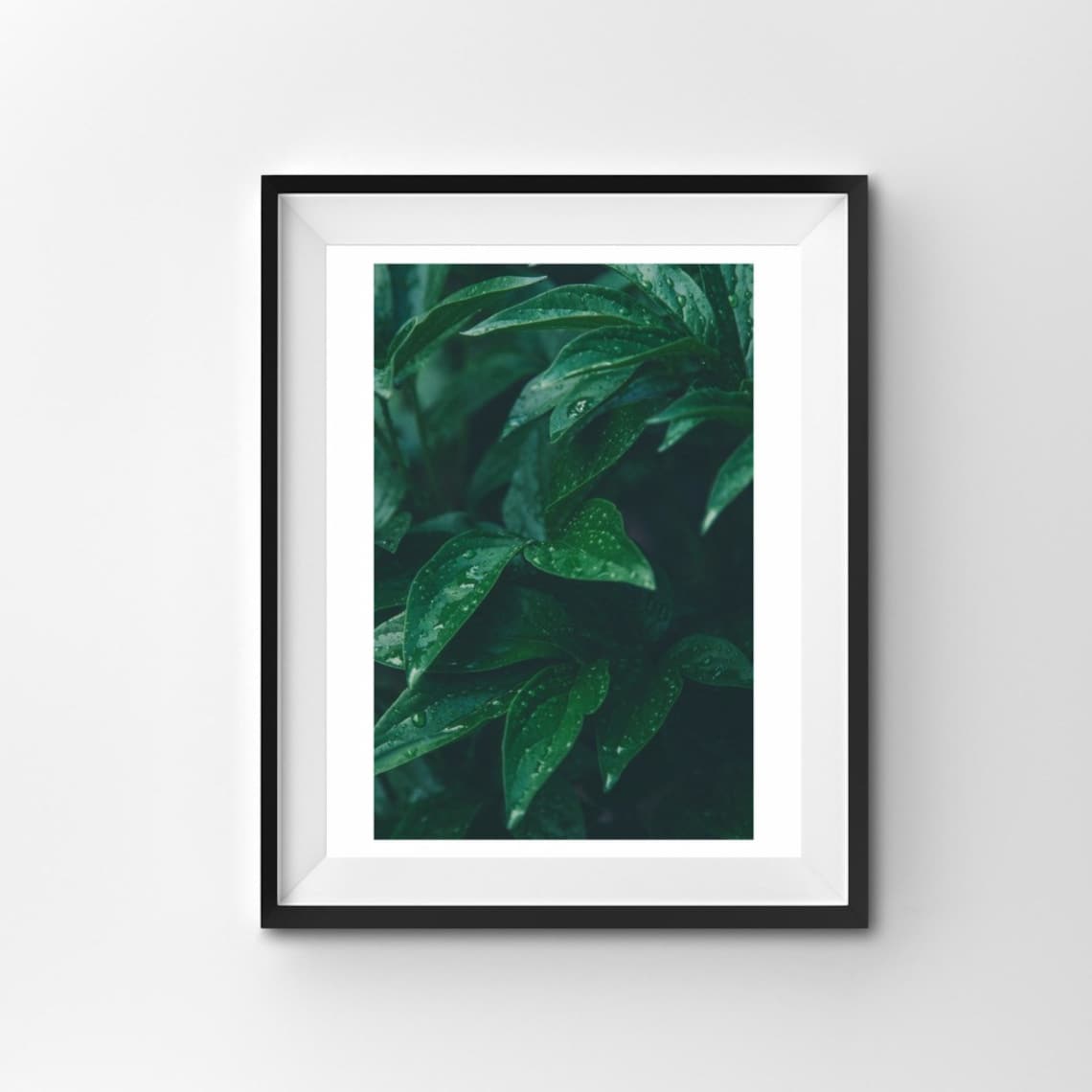 Green Gallery Wall Set of 6 Prints Green Wall Art Feature Etsy