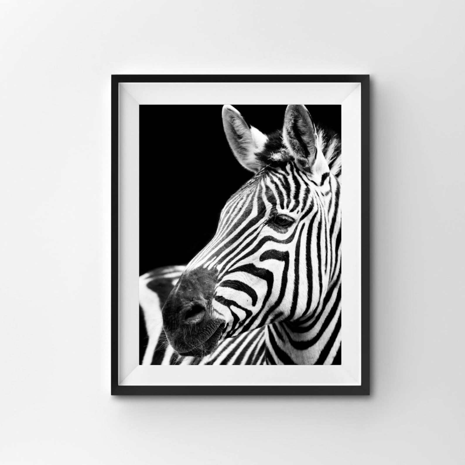 Zebra-Druck schwarz und weiß Druck Tier Druck Druck | Etsy