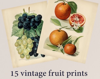 Dollhouse Prints, Paintings Download Printable- 1:12 Scale - Miniature Vintage Kitchen Art