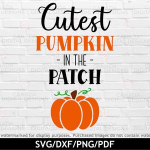 Cutest pumpkin in the patch svg, Halloween svg, Kids fall svg, Cutest pumpkin png, Pumpkin cut file, Pumpkin patch svg, Cricut svg