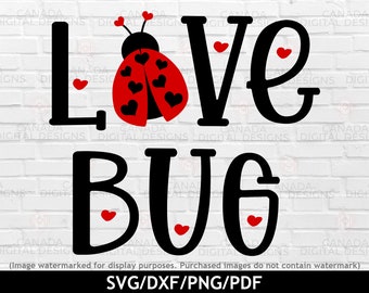 May include: Black and white graphic design with the text "Love Bug" in a bold font. A red ladybug with black spots is featured above the text.