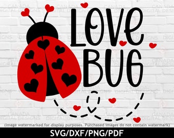 May include: A digital design showing a red ladybug with black heart-shaped markings and antennae. The words 'Love Bug' are in bold black text. Red hearts and a dotted line complete the design, ideal for Valentine's Day.