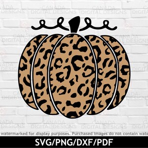 May include: A brown and black leopard print pumpkin with a stem and curly vines. The pumpkin is outlined in black.