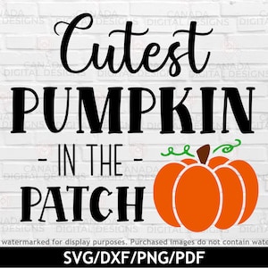 May include: A black and white graphic design on a white brick background with the text "Cutest Pumpkin in the Patch" and a cartoon orange pumpkin with a green stem and brown stem.