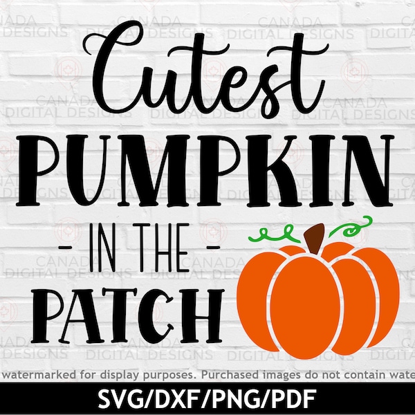 Cutest pumpkin in the patch svg, Thanksgiving svg, Kids halloween svg, Cutest pumpkin png, Pumpkin cut file, Pumpkin patch svg, Cricut svg