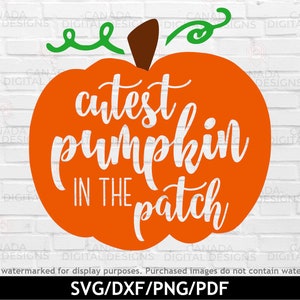 Cutest pumpkin in the patch svg, Thanksgiving svg, Kids halloween svg, Cutest pumpkin png, Pumpkin cut file, Pumpkin patch svg, Cricut svg