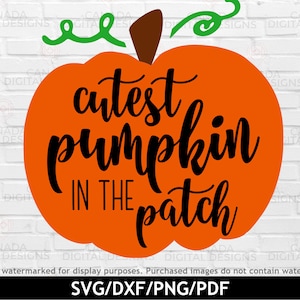 May include: Orange pumpkin with a green stem and leaves. The pumpkin has black text that says "cutest pumpkin in the patch".