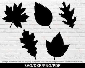Fall leaves svg bundle, Leaf silhouette vector, Autumn svg, Fall decor cut files, Autumn leaves svg, Cricut svg file, Silhouette file