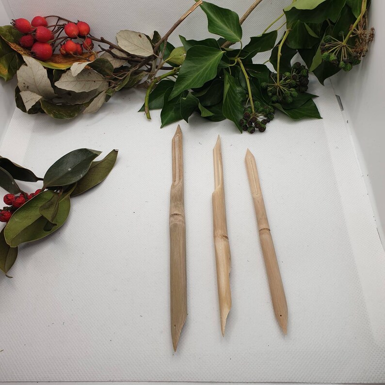 Bamboo Reed Dip Pens for Use With Botanical Inks Sketching Etsy UK