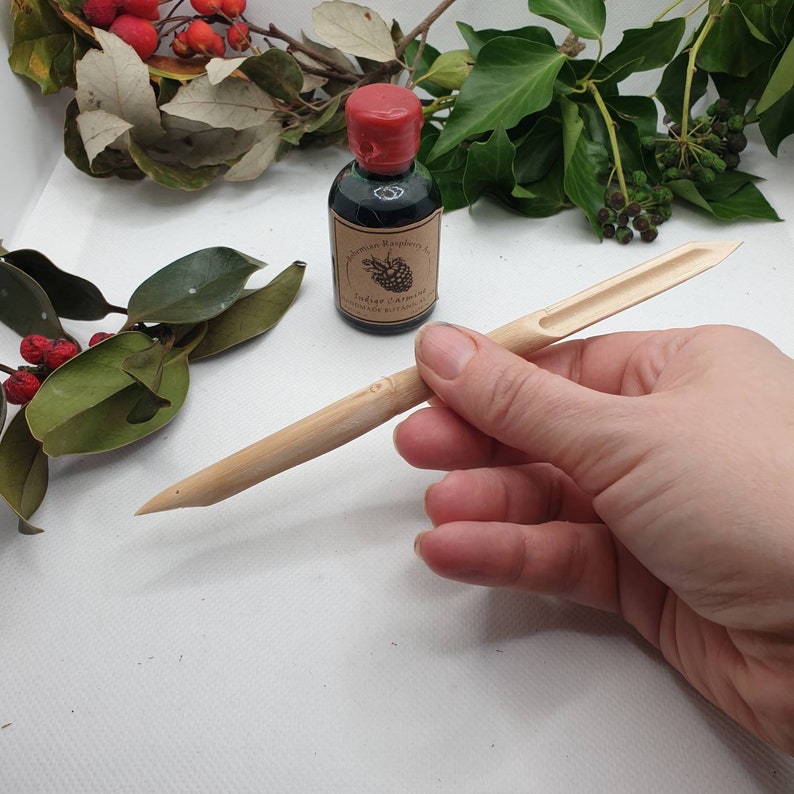 Bamboo Reed Dip Pens for Use With Botanical Inks Sketching Etsy UK