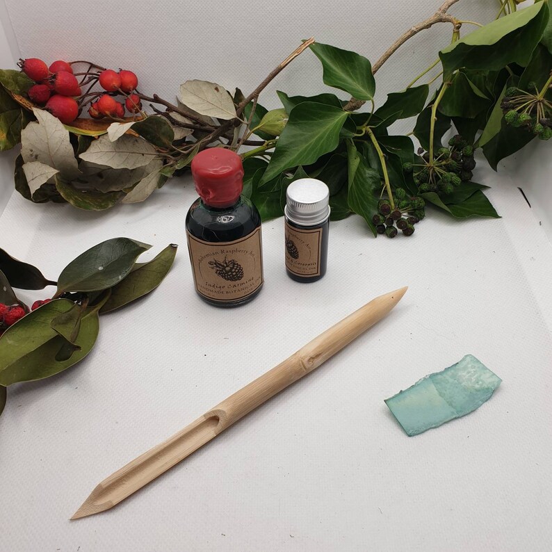 Bamboo Reed Dip Pens for Use With Botanical Inks Sketching Etsy UK