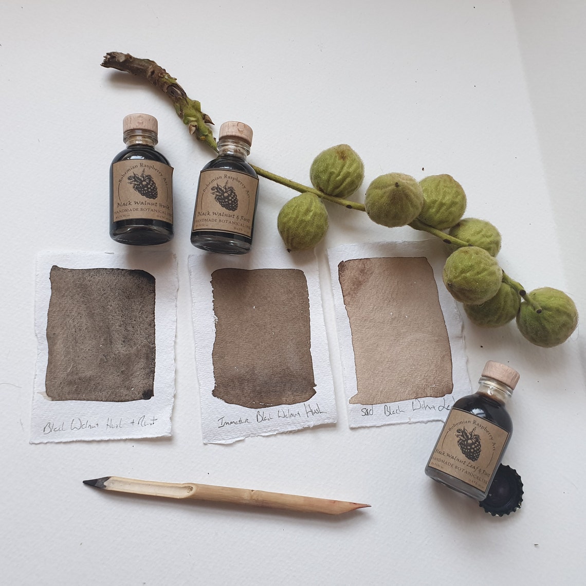 Early Season Black Walnut Ink Collection Handcrafted Botanical Etsy
