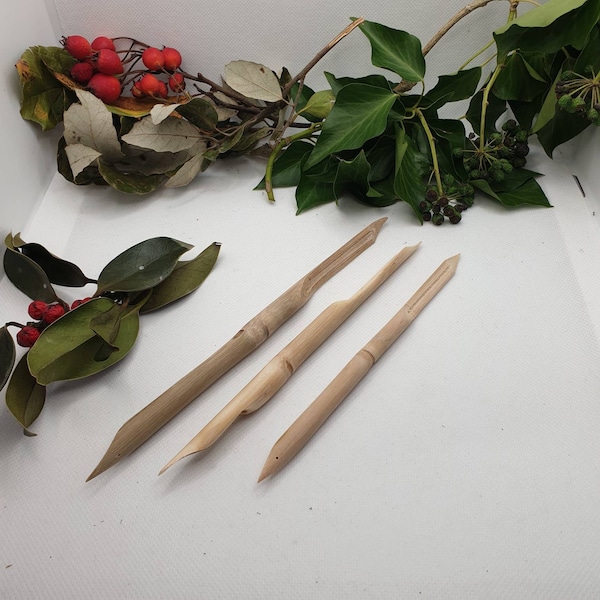 Bamboo reed dip pens for use with botanical inks - sketching, drawing,  calligraphy