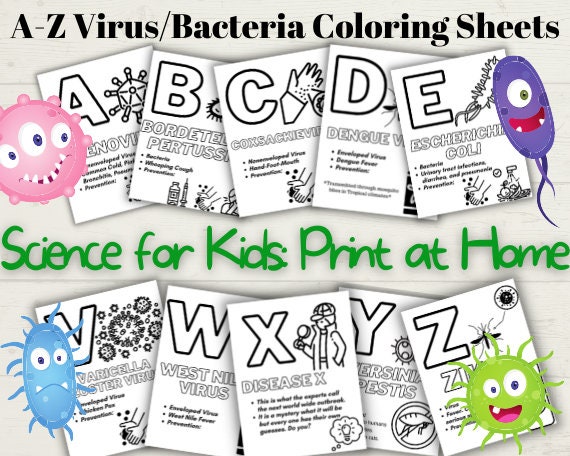 science worksheet preschool worksheet kindergarten etsy