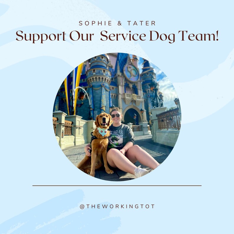 Pu&ograve; includere: Grafica azzurra con il testo "Support Our Service Dog Team!" e i nomi "Sophie & Tater". Una foto di una donna e di un golden retriever davanti a un castello &egrave; in una cornice circolare. L'handle di Instagram "@THEWORKINGTOT" &egrave; in basso.