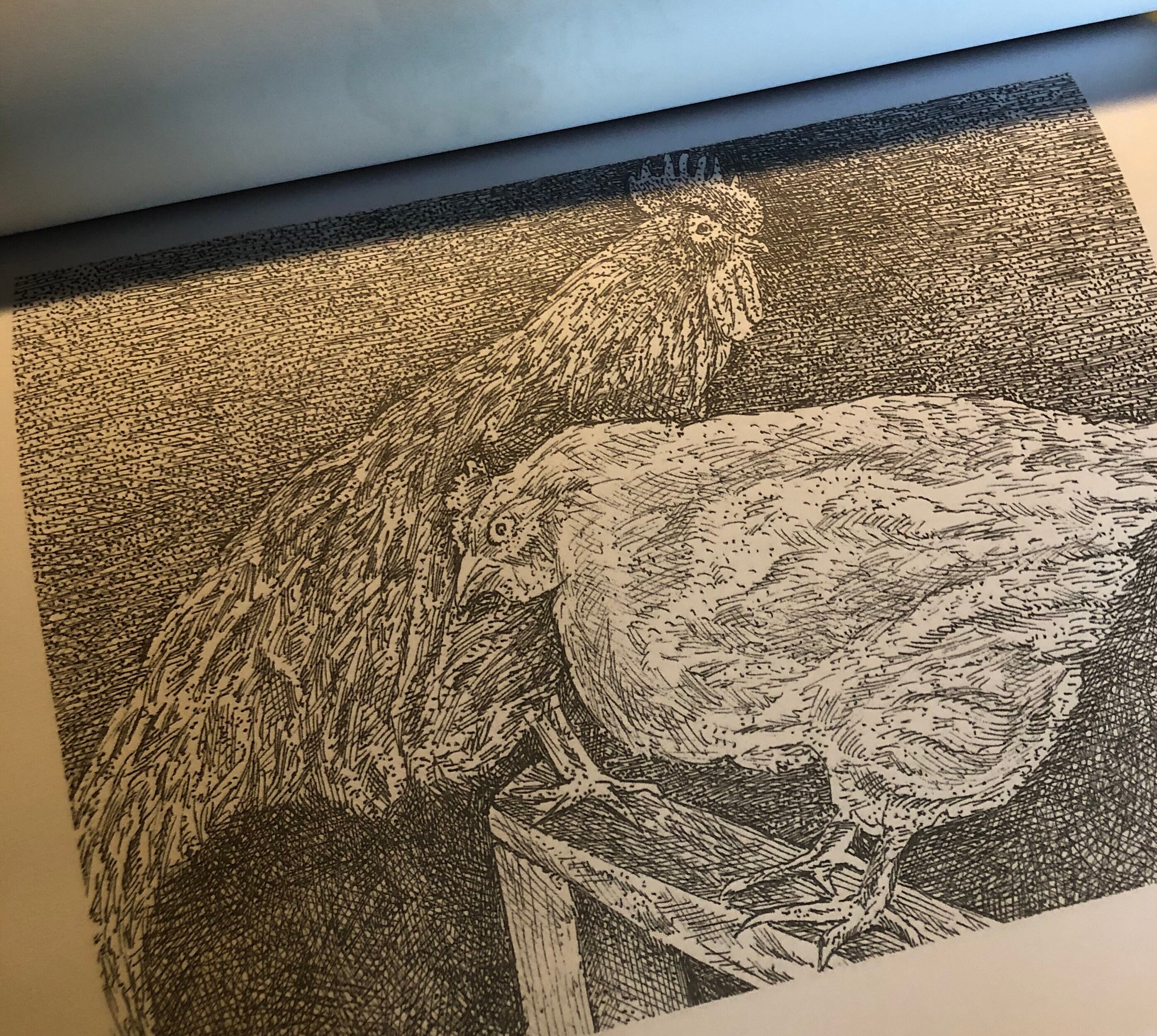 Charming Chickens Coloring Book Adult coloring book | Etsy