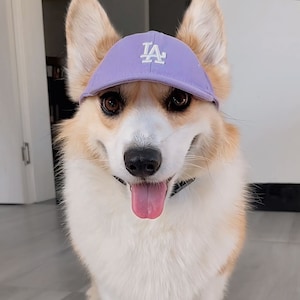 LA Dog Hat, Adjustable Dog Hat with Ear Holes, Sun Cap Pet Hat