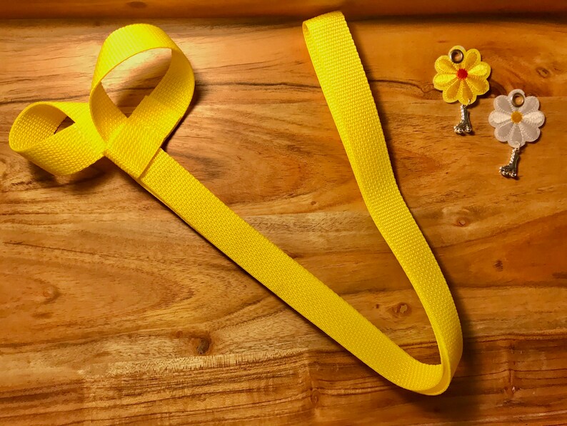 Yellow Skate Leash