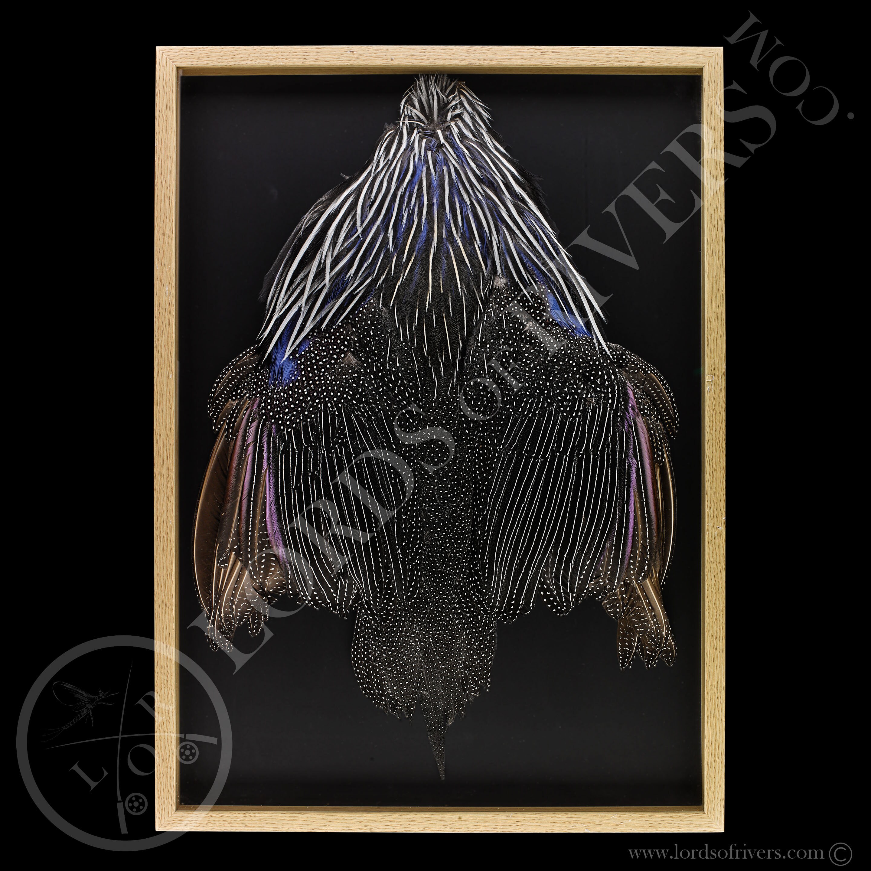 Golden Pheasant Skin - Etsy