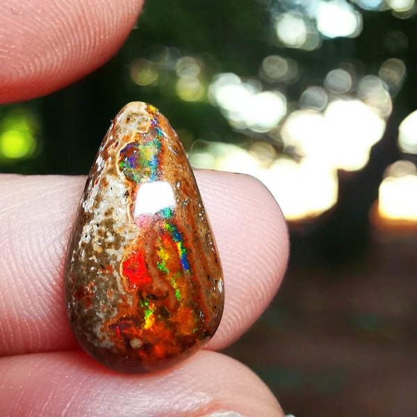 5.95cts Natural Mexican Cantera Multicoloured Teardrop Chocolate Fire Opal
