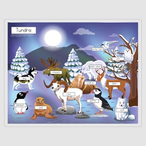 Habitat Placemats Habitat Mats Tundra Habitat Rainforest - Etsy