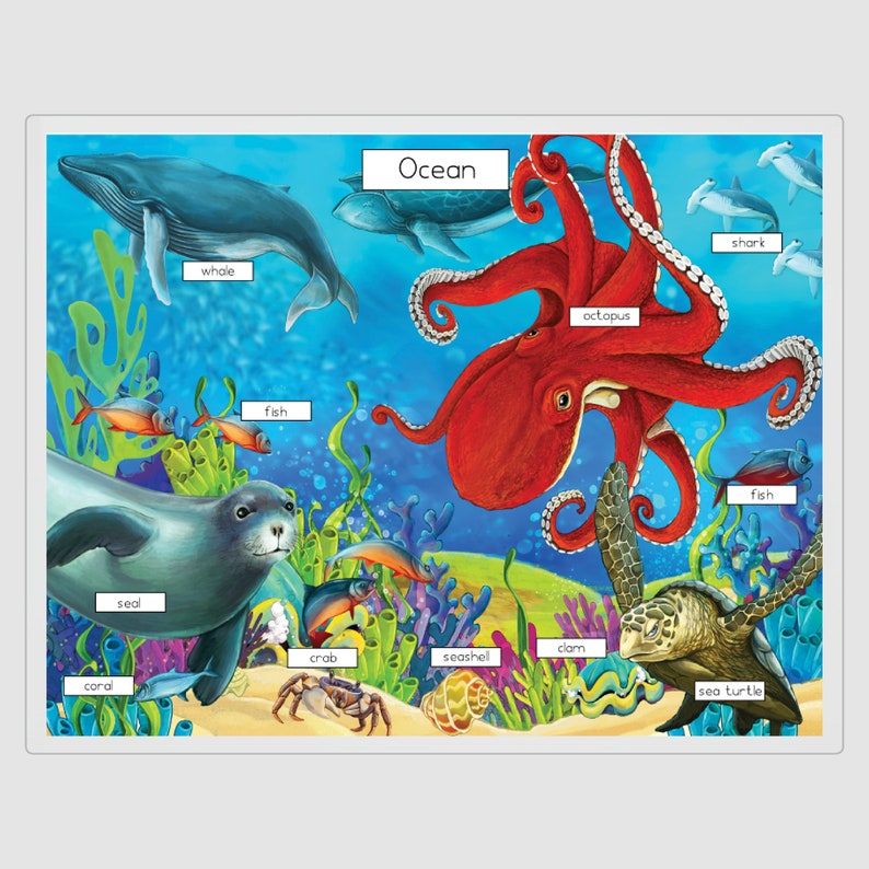 Habitat Placemats Habitat Mats Tundra Habitat Rainforest Etsy