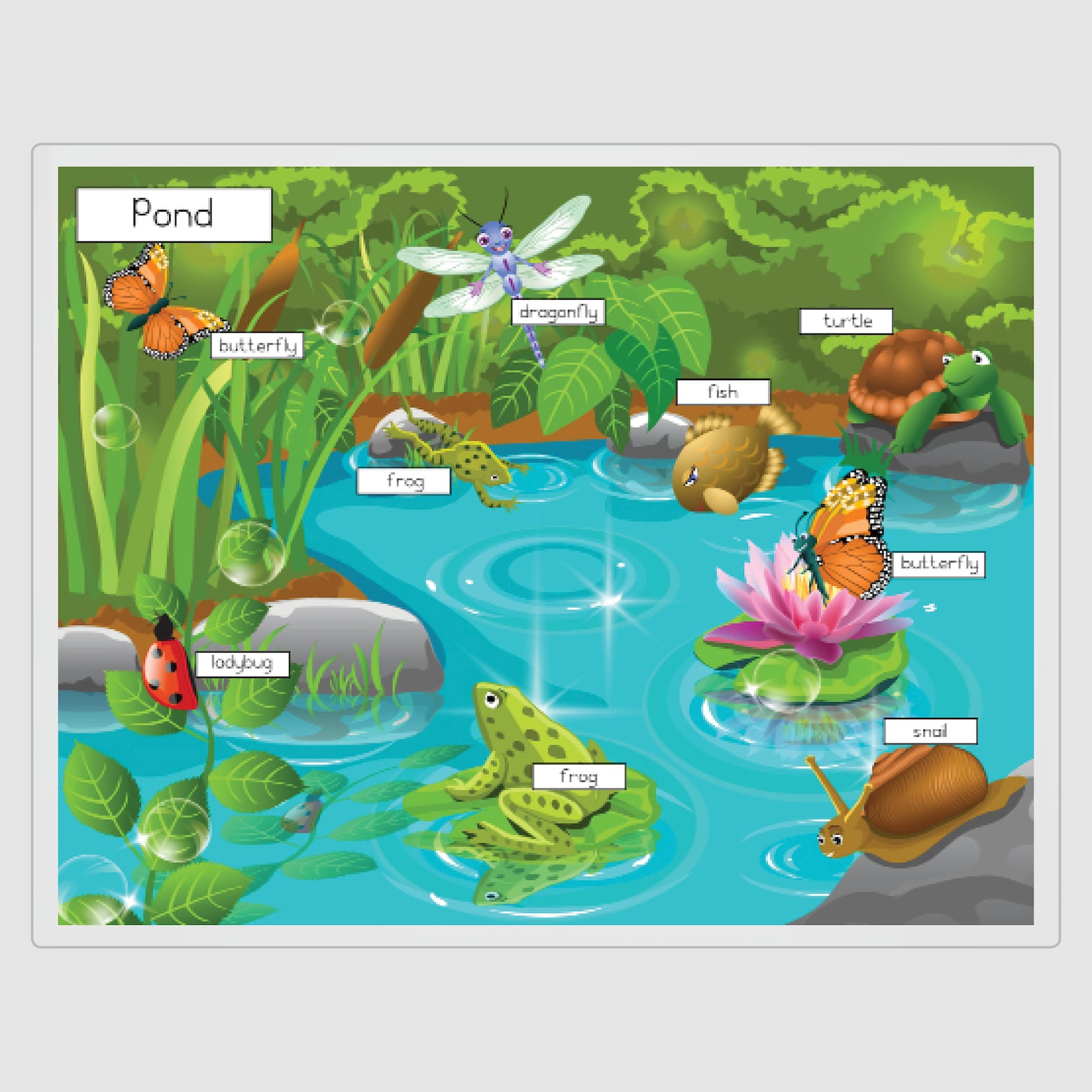 Habitat Placemats Habitat Mats Tundra Habitat Rainforest Etsy