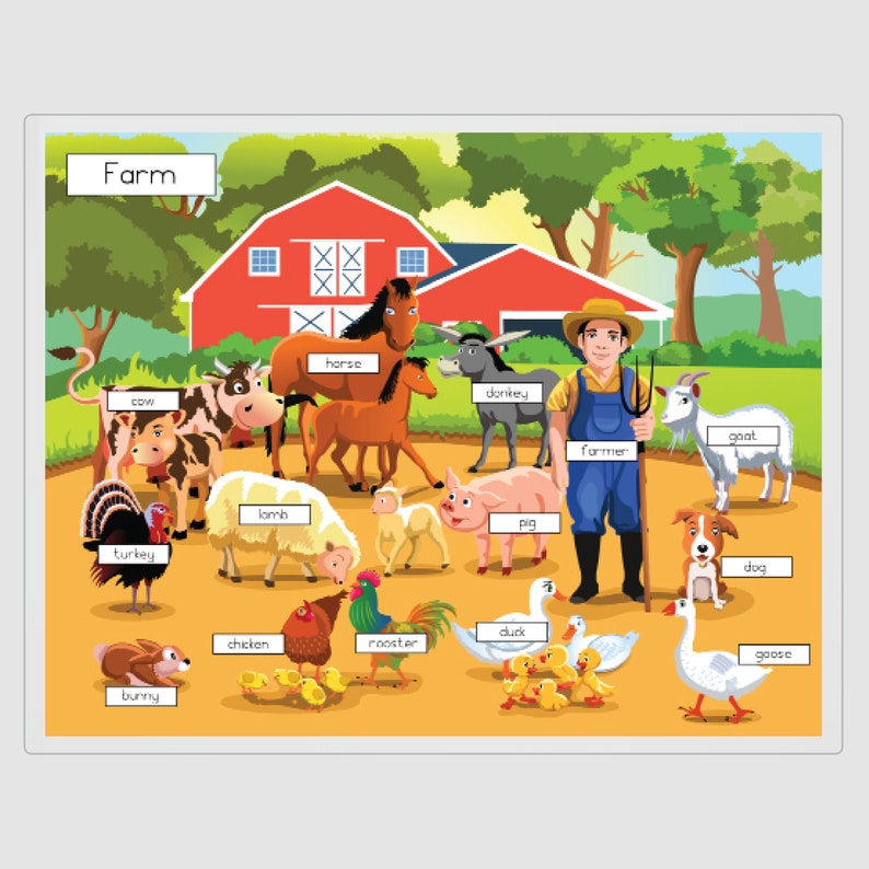 Habitat Placemats Habitat Mats Tundra Habitat Rainforest Etsy