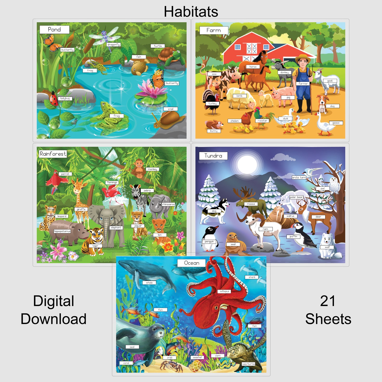 Habitat Placemats Habitat Mats Tundra Habitat Rainforest Etsy