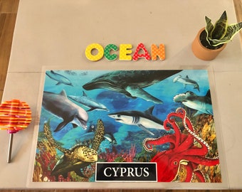 Ocean Kids Placemat, Personalized Ocean Mat, Laminated Ocean Life, Sealife Placemat, Sea Mat, Nautical Placemat, Ocean Mat, 11x17"