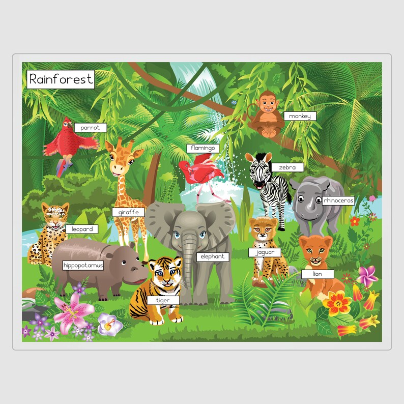 Habitat Placemat Printable