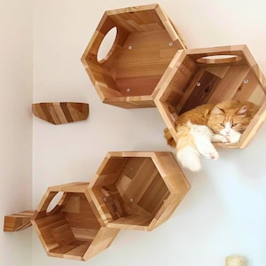May include: A set of wooden cat shelves in a hexagonal design, fixed to a white wall. An orange and white cat rests on one of the shelves. The shelves are made of light-coloured wood and have circular openings. A small, matching shelf is also present.