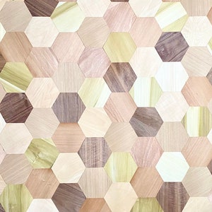 May include: A wall covered in a hexagonal pattern of wood tiles. The tiles are made of different types of wood, creating a unique and interesting design.