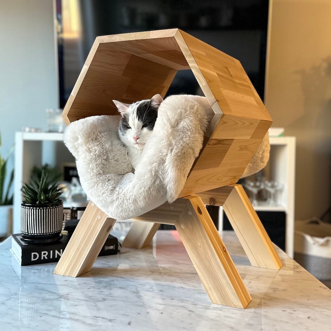 Rustic Cat Furniture - Wooden Pet Bed, Luxury Elevated Cat Lounger Cozy ...