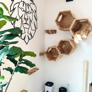 Cat Wall Playground Cat Crates Cat Wall Bed Cat Gym Cat Furniture Hexagon Cedar Pet Decor
