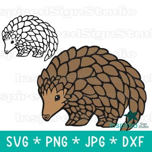 Pangolin SVG, Cute Pangolin PNG, Kids Sublimation Design, Endangered Animal Drawing Coloring Page, Layered Vector Cut File, Digital Download