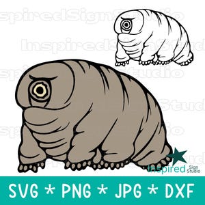 クマムシSVG、クマムシPNG、子供向けリアルクマムシの絵、オタク向け昇華デザイン、科学ぬり絵ページ、ベクターカットファイルDXF