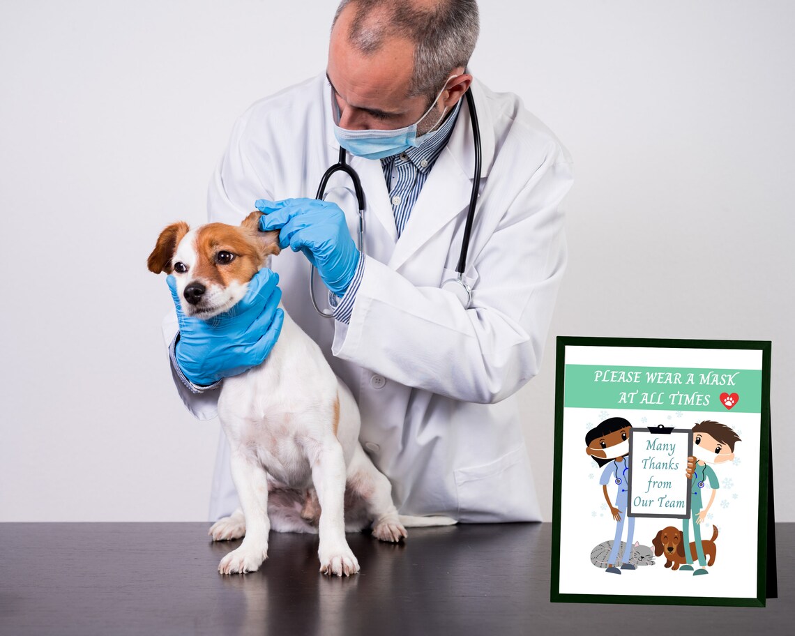 Veterinarian Office Safety Sign PRINTABLE Vet Clinic Please Etsy UK