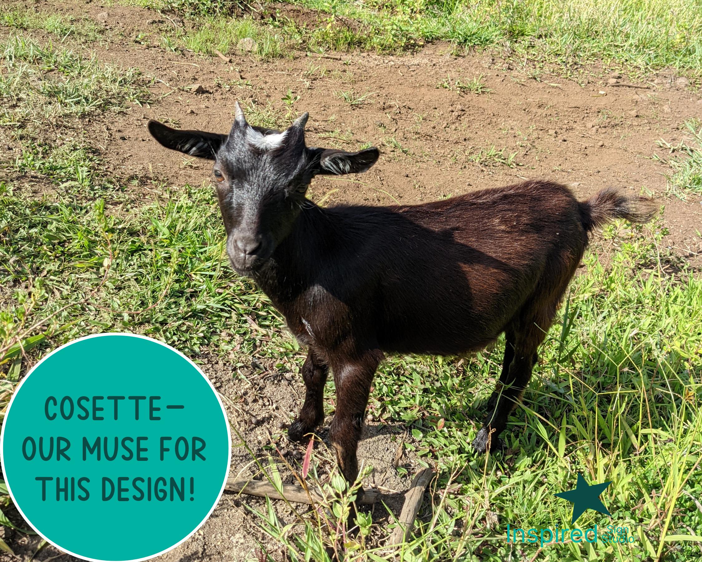 Baby Goat SVG, Miniature Dwarf Breed, Farm Animal Clipart (digital ...