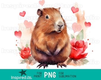 Capybara PNG-Datei, Aquarell Herzen & Rosen, süßes Valentinstag Sublimationsdesign, kommerzielle Nutzung Clipart-Bild, sofortiger digitaler Download