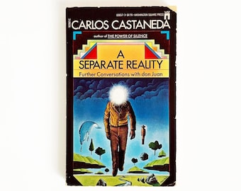 A Separate Reality By Carlos Castaneda Vintage Paperback Book