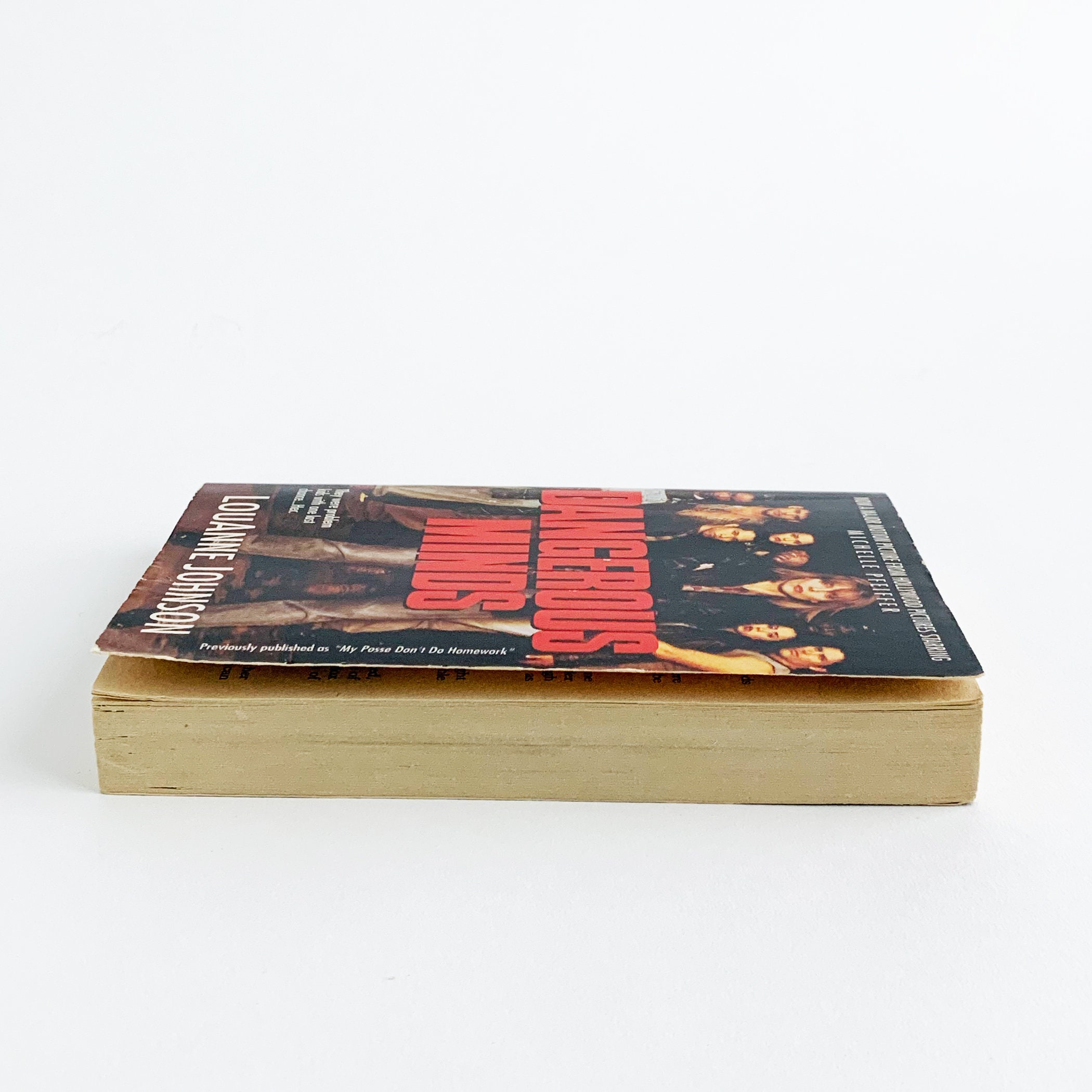 Dangerous Minds by Louanne Johnson Vintage Paperback Book - Etsy