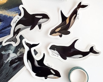 Antarctic Orca Stickers